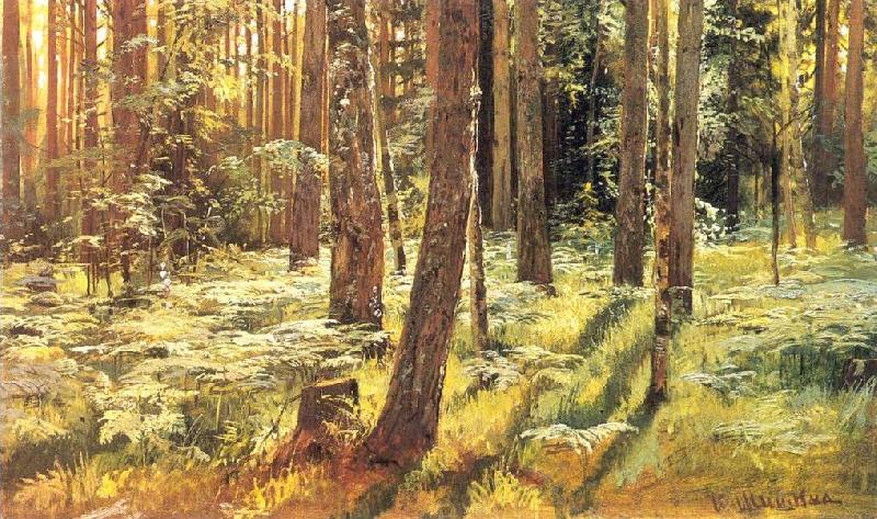 Ivan Shishkin Ferns in a Forest France oil painting art